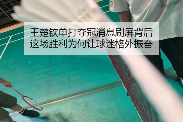 王楚钦单打夺冠消息刷屏背后 这场胜利为何让球迷格外振奋 - kaiyun
